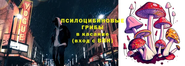 дурь Балахна