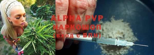 мяу мяу мука Баксан